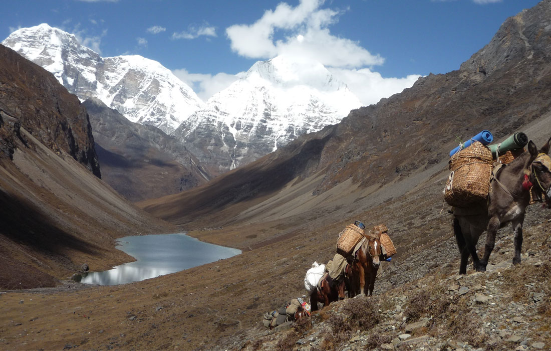 best treks in bhutan.jpgux4