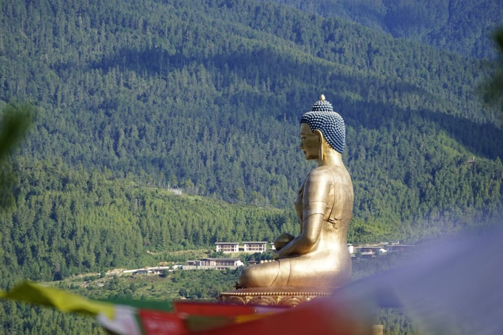 pexels pema gyamtsho 53085179 9195752