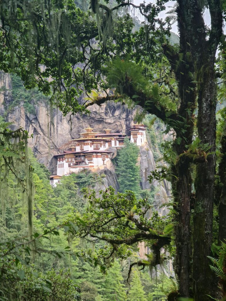 Pexels Phuntsho Wangdi 134453878 18495682 768x1024